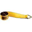 Kinedyne Corporation 423010 4 x 30' Winch Strap with Delta Ring