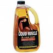FPPF 80899 64oz. Liquid Muscle Injector Cleaner/Lubricant/Anti-Gel