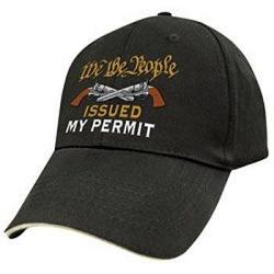 Capsmith DASGUN6 2nd Amendment We The People Cap Black 1